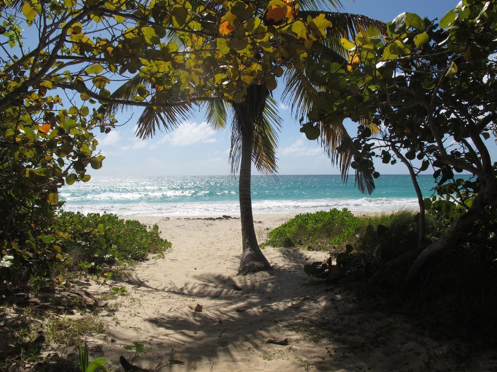 Esperanza Inn Guesthouse (Adults Only) Vieques Exterior photo